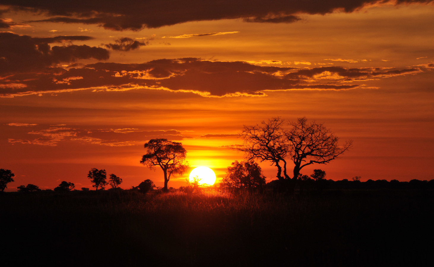 Okavango Delta [250 mm, 1/250 Sek. bei f / 32, ISO 800]